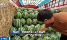 博州吃瓜,吃瓜也能吃出风情万种