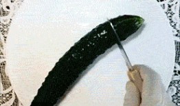 吃瓜表情包gif发光