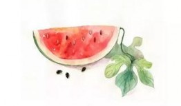 巫溪吃瓜视频,揭秘当地特色美食背后的故事