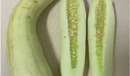 白瓜怎么吃更甜,解锁甜润口感新技巧