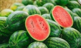 中羽在线吃瓜,揭秘羽毛球圈里的那些“吃瓜”趣事