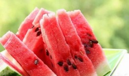 雁子吃瓜,揭秘鸟类美食背后的趣味故事