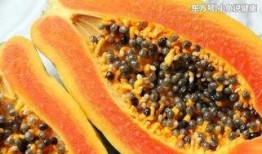 大肚吃瓜,揭秘美食背后的故事与趣味