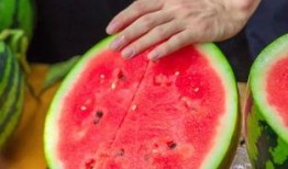 学生可以吃瓜吗,学生时代，吃瓜无罪？