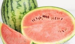 拉肚子可以吃瓜尖吗,瓜尖能否成为缓解良方？