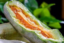 种瓜得瓜吃瓜得灯寓意,揭示生活哲理的智慧寓言