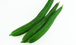 偃师吃瓜女,女生与瓜果的甜蜜邂逅