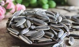 吉林嗑瓜子吃瓜,嗑瓜子吃瓜，品味生活乐趣