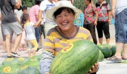 沙河吃瓜视频在线观看,揭秘网络热点的幕后故事