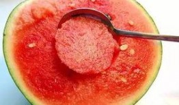 吃瓜吃着像冬瓜为啥,揭秘“吃瓜像冬瓜”的趣味现象背后的科学原理