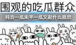 抖音吃瓜教授,揭秘娱乐圈幕后真相