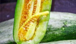 吃瓜吃的甜,解锁夏日美味新姿势