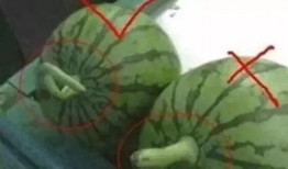 带你吃瓜燕子,燕子带你领略娱乐圈的酸甜苦辣