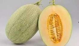 吃瓜得瓜寓意好吗,揭秘生活中的美好寓意与智慧