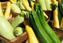 吃瓜休闲音乐推荐,跟着吃瓜音乐一起摇摆