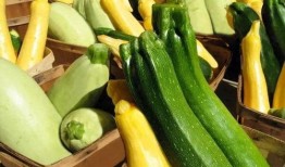 吃瓜休闲音乐推荐,跟着吃瓜音乐一起摇摆