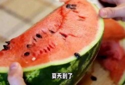 吃瓜要注意,轻松掌握观瓜技巧，畅享娱乐盛宴