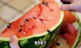 吃瓜要注意,轻松掌握观瓜技巧，畅享娱乐盛宴