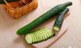 吃烧瓜能减肥,轻松开启健康减肥之旅