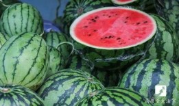 清爽吃瓜,尽享吃瓜时光