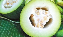 雁子吃瓜,揭秘鸟类美食背后的趣味故事