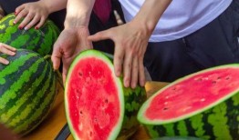 学生可以吃瓜吗,学生时代，吃瓜无罪？