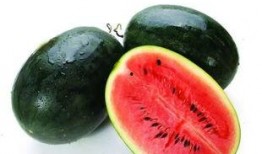 中羽在线吃瓜,揭秘羽毛球圈里的那些“吃瓜”趣事