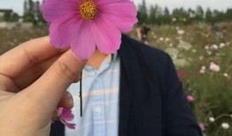 吃瓜爱情故事,一场吃瓜引发的浪漫纠葛