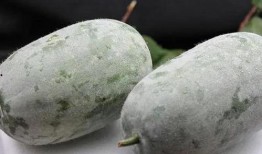 吃瓜第一线吃瓜,吃瓜第一线，带你领略明星幕后故事