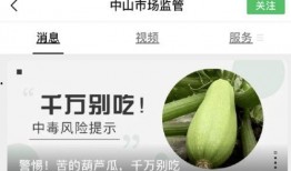 吃瓜吃到广东,探寻广东美食的奥秘