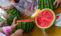 学生可以吃瓜吗,学生时代，吃瓜无罪？