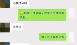 聊天吃瓜记录网站,聊天记录网站背后的故事