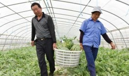 巢湖中学吃瓜,吃瓜群众眼中的校园生活剪影