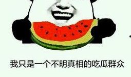 你吃瓜我吃瓜子,揭秘“吃瓜我吃瓜子”背后的趣味生活