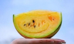 云南的面瓜怎么吃,多样吃法，尽享美味