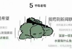 瓜哥解说吃鸡,瓜哥带你领略绝地求生吃鸡乐趣