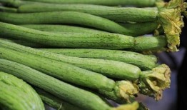 准备吃全瓜,尽享美味与营养的完美融合