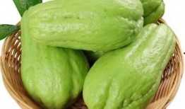 洋瓜丁怎么吃,创意烹饪指南