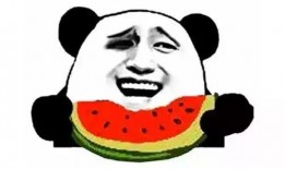 吃瓜用什么看,揭秘热门事件观看指南