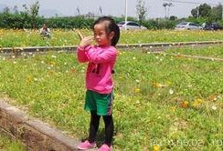 农大草坪吃瓜,夏日吃瓜好去处