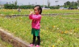 农大草坪吃瓜,夏日吃瓜好去处