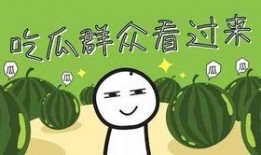 吃瓜系统全家,揭秘娱乐圈背后的秘密与真相