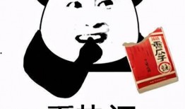 吃瓜头像熊猫头,趣味横生