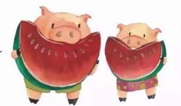 安静吃瓜的猪猪图片,静享夏日时光