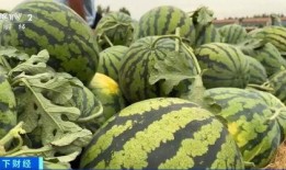 工作和吃瓜,揭秘工作与吃瓜的趣味人生