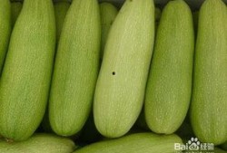 白瓜怎么吃更甜,解锁甜润口感新技巧