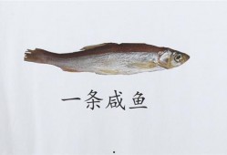 吃瓜的老咸鱼,揭秘娱乐圈幕后真相