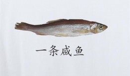 吃瓜的老咸鱼,揭秘娱乐圈幕后真相