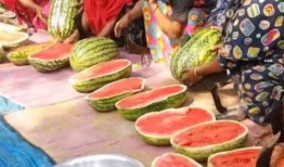 大丰吃瓜比赛,一场舌尖上的狂欢盛宴