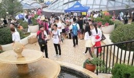 朝阳热门吃瓜,揭秘京城街头那些鲜为人知的美食传奇